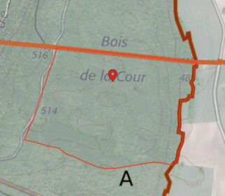 PARCELLE DE BOIS BEFFIA